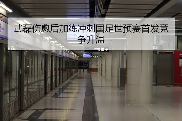 武磊伤愈后加练冲刺国足世预赛首发竞争升温